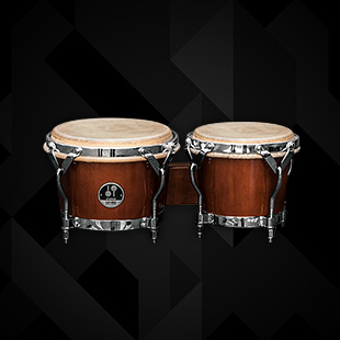 Latino Bongos